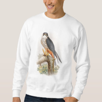 Hobby Falcon John Gould Birds of Great Britain Trui