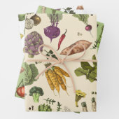 Hobby Groentable Gardening Inpakpapier Vel (In situ)