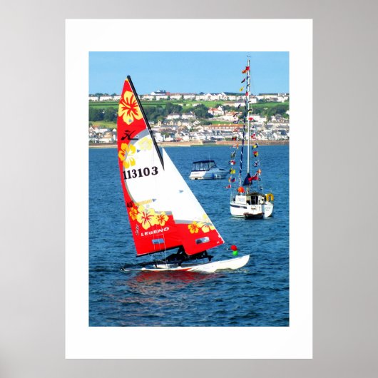 Hobie cat, Jersey Poster (Voorkant)