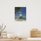 Hobie Cat, Plantation Island Resort Poster (Keuken)