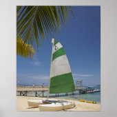 Hobie Cat, Plantation Island Resort Poster (Voorkant)