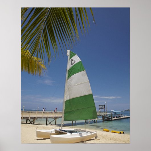 Hobie Cat, Plantation Island Resort Poster (Voorkant)