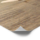 Hobie catamaran klaar om te varen poster (Hoek)