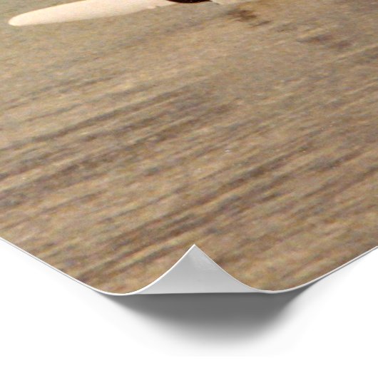 Hobie catamaran klaar om te varen poster (Hoek)