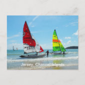 Hobie katten in Jersey Briefkaart (Voorkant)