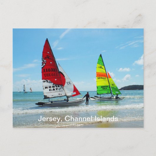 Hobie katten in Jersey Briefkaart (Voorkant)