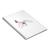 Hobo Spider notebook Notitieboek (Rechterzijde)