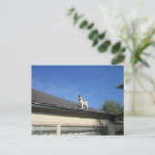 Hoch hinaus briefkaart (Staand voorkant)