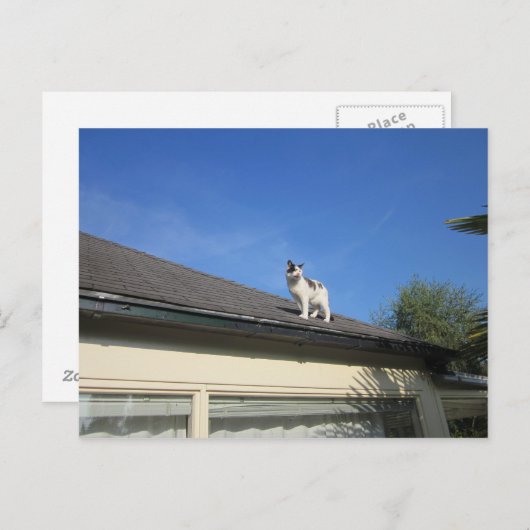 Hoch hinaus briefkaart (Voorkant / Achterkant)