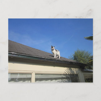 Hoch hinaus briefkaart