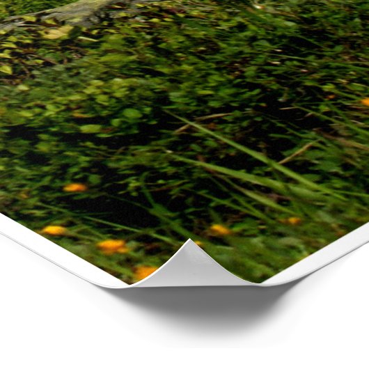 Hochferner by Johannes Stötter Poster (Hoek)