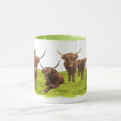 Hochlandrinder Mok (Midden)