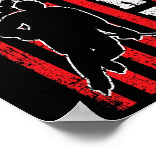 Hockey Amerikaanse Vlag Mannen Jongens 4th of July Poster (Hoek)