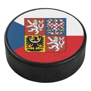 HOCKEY PUCK
