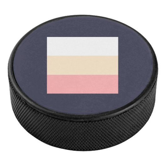 Hockey Puck (3/4)