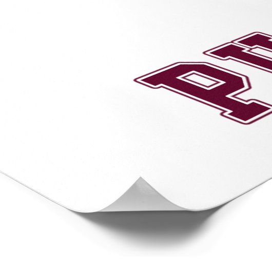 Hockey Puck off Poster (Hoek)