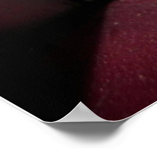 Hockey Rink Poster (Hoek)