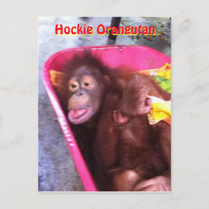 Hockie Orangutan - een meisje met speciale behoeft Briefkaart