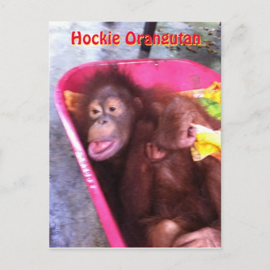 Hockie Orangutan - een meisje met speciale behoeft Briefkaart (Voorkant)
