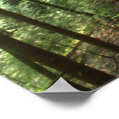 Hocking Hills Cliff Poster (Hoek)