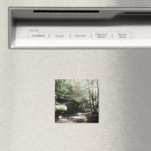 Hocking Hills Cokesmagnet van het oude man Magneet (Insitu (Vaatwasser))