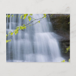 Hocking Hills Waterfall Briefkaart