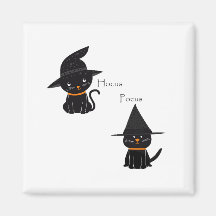 Hocus Pocus Black Cats