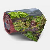 Hodgson Mill Landscape Stropdas (Opgerold)