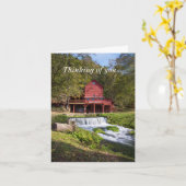 Hodgson Mill Portrait denkend aan uw Kaart (Gele Bloem)