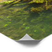 Hodgson Mill Poster (Hoek)