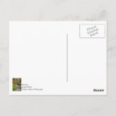 Hodgson Spring Flow Briefkaart (Achterkant)
