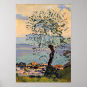 Hodler - Meadow 1890 Poster (Voorkant)