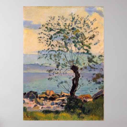 Hodler - Meadow 1890 Poster (Voorkant)