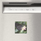 Hodokubo, Hino, Tokio, Japan 5 Magneet (Insitu (Vaatwasser))