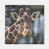 Hodokubo, Hino, Tokio, Japan 6 Magneet (Voorkant)