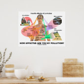 Hoe beïnvloed bent u door vervuiling? (Fysiologie) Poster (Keuken)