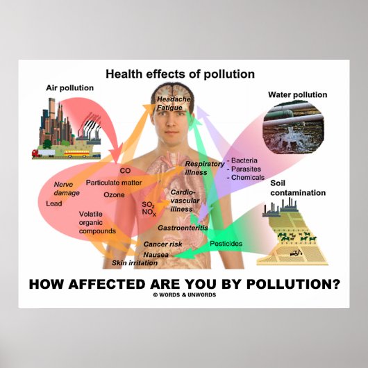 Hoe beïnvloed bent u door vervuiling? (Fysiologie) Poster (Voorkant)