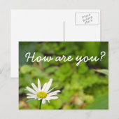 Hoe bent u Briefkaart? Briefkaart (Voorkant / Achterkant)