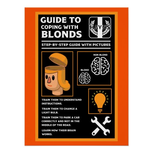 Hoe blonden te begrijpen perfect poster (Voorkant)