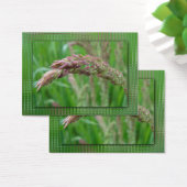 Hoe de gras Bladwijzer groeit Visitekaartjes (Bureau)