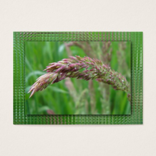 Hoe de gras Bladwijzer groeit Visitekaartjes (Voorkant)