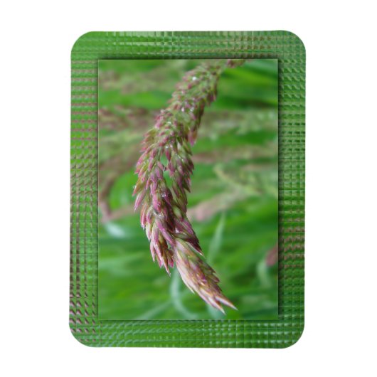 Hoe de gras flexibel magneet groeit (Verticaal)