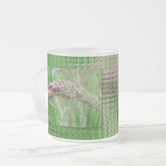 Hoe de gras Mok groeit (Voorkant links)