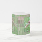 Hoe de gras Mok groeit (Center)