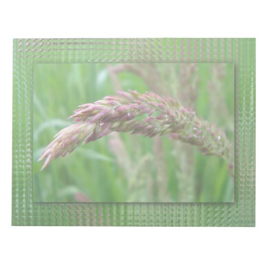 Hoe de gras Notitieblok groeit (Voorkant)