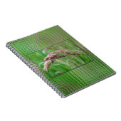 Hoe de gras Notitieboek groeit (Rechterzijde)