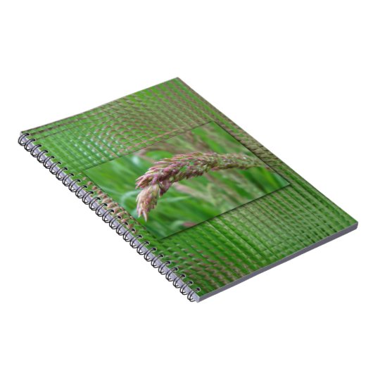 Hoe de gras Notitieboek groeit (Rechterzijde)