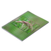 Hoe de gras Notitieboek groeit (Linkerzijde)