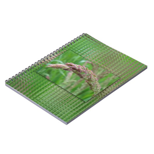 Hoe de gras Notitieboek groeit (Linkerzijde)