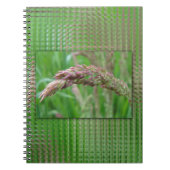 Hoe de gras Notitieboek groeit (Voorkant)
